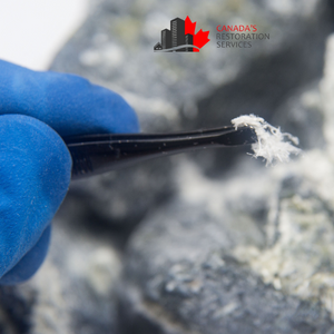 why asbestos inspections are important