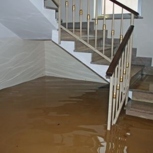 Common Causes of Flood Damage and How to Prevent Them