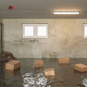 How to Stop Mold with Flooded Basement Cleanup in Mississauga