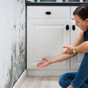 The Risks of Ignoring Mold Problems in Your Toronto Property