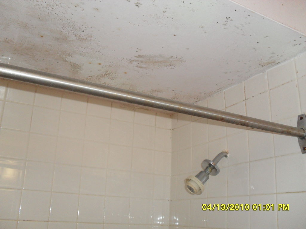 shower mold removal