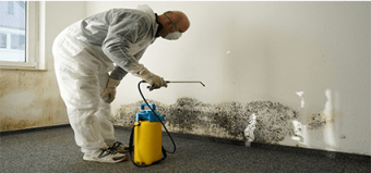 The Hidden Dangers of Mold in Your Home