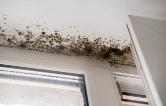 Tips to Control Window Condensation to Eliminate Mold Growth