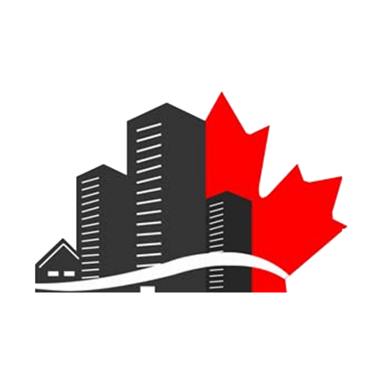 How Mold Removal Services Establish a Healthy Home