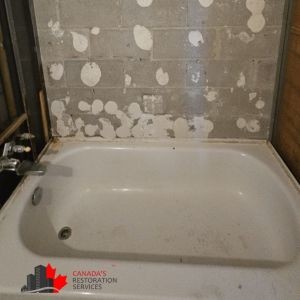 mold removal in Mississauga bathroom