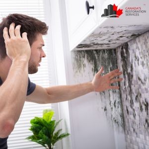 Why Laundry Rooms are Mold Hotspots