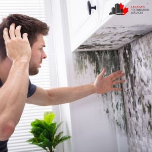 Why Prioritize Mold Inspections Before Tenant Move-In