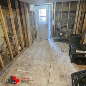 asbestos removal after flood damage cleanup