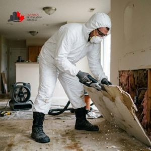 asbestos abatement company professional