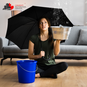 The Importance of a Housesitter for Water Damage Claims