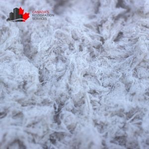 Does Asbestos Become a Legal Issue During Property Sales