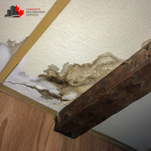 What to Do About Water Damage When You're Away