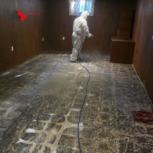 basement flood cleanup 