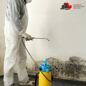 Can Mold Develop Under Vinyl Flooring And Laminate Planks