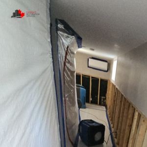 asbestos removal in attic