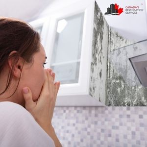 How Old Wallpaper Can Hide Years of Mold Growth