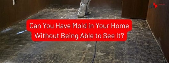 hidden mold ini home under flooring