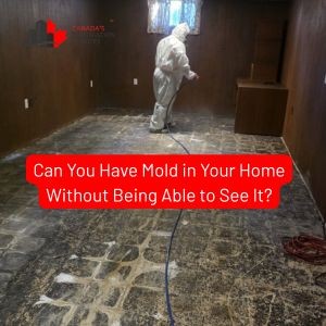 hidden mold ini home under flooring