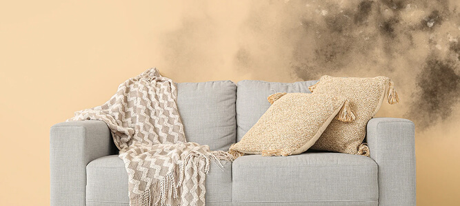 mold removal in vaughan