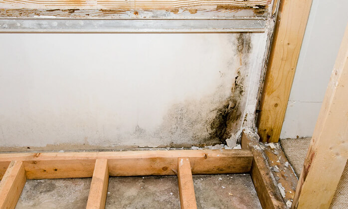 mold that we remove