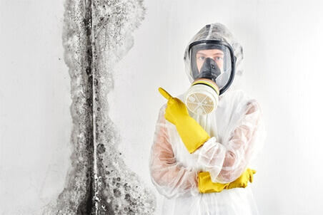 How Mold Growth Affects Home Air Quality
