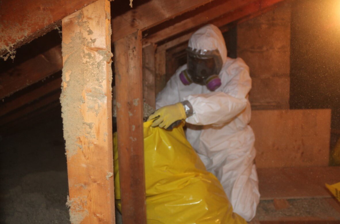 asbestos removal services