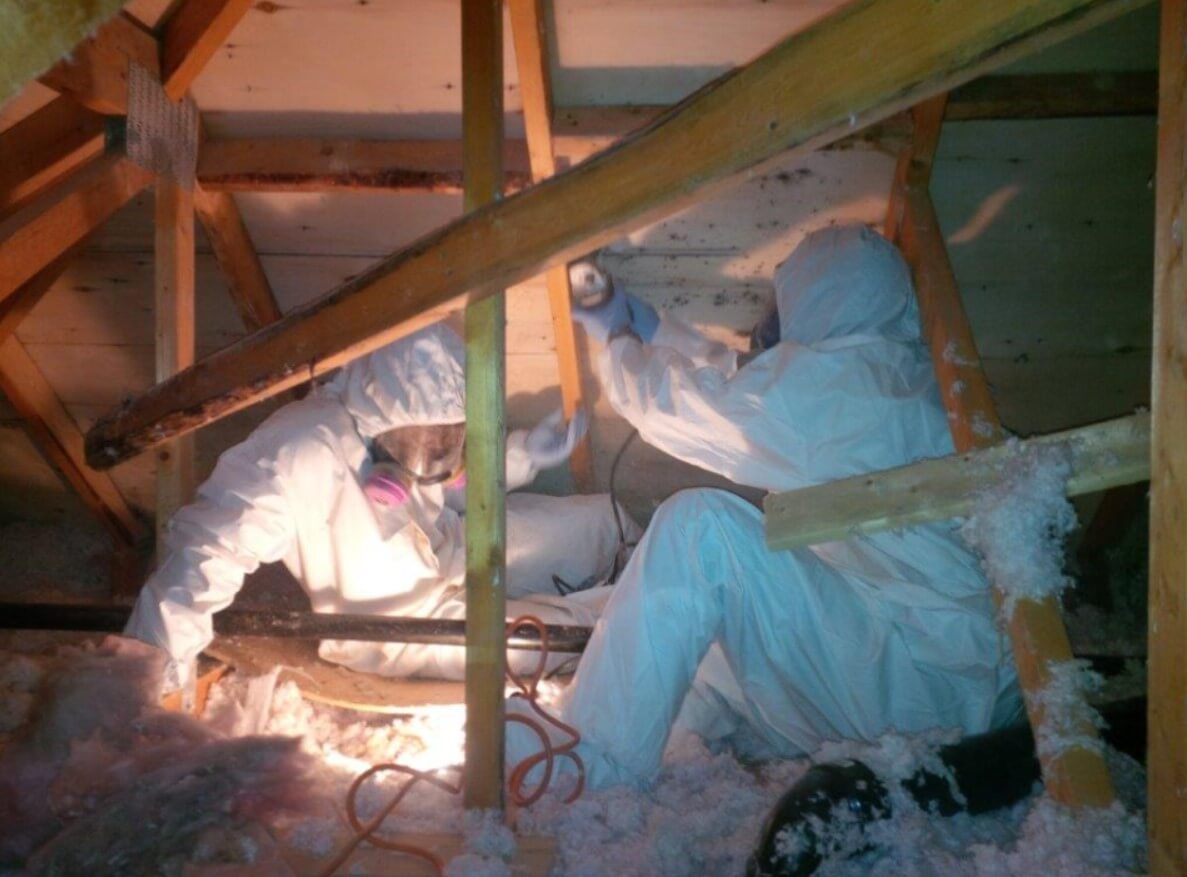 asbestos removal services