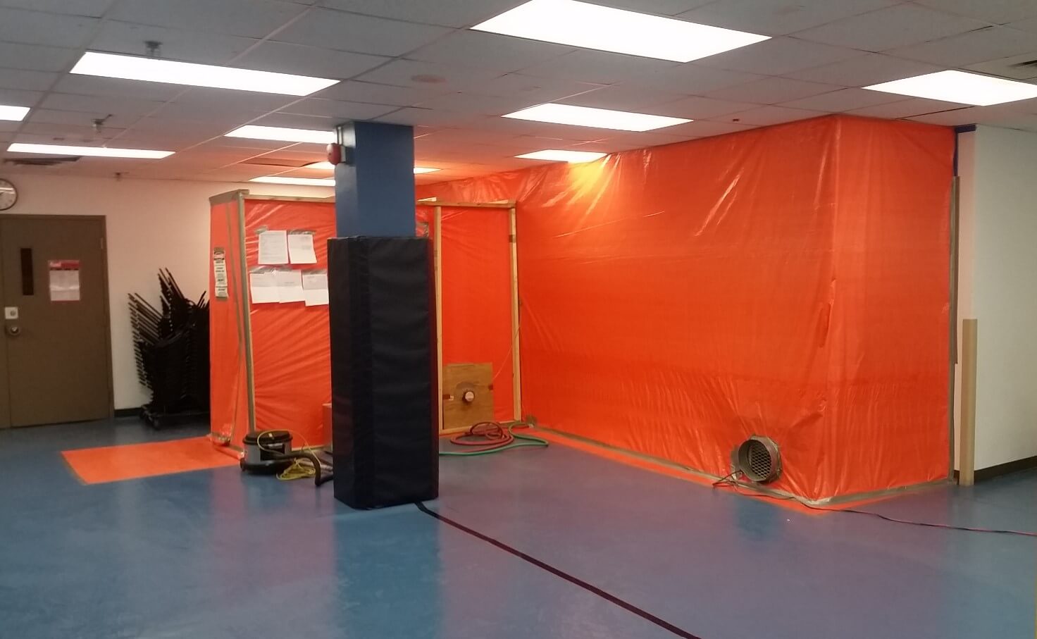 mold inspection Toronto