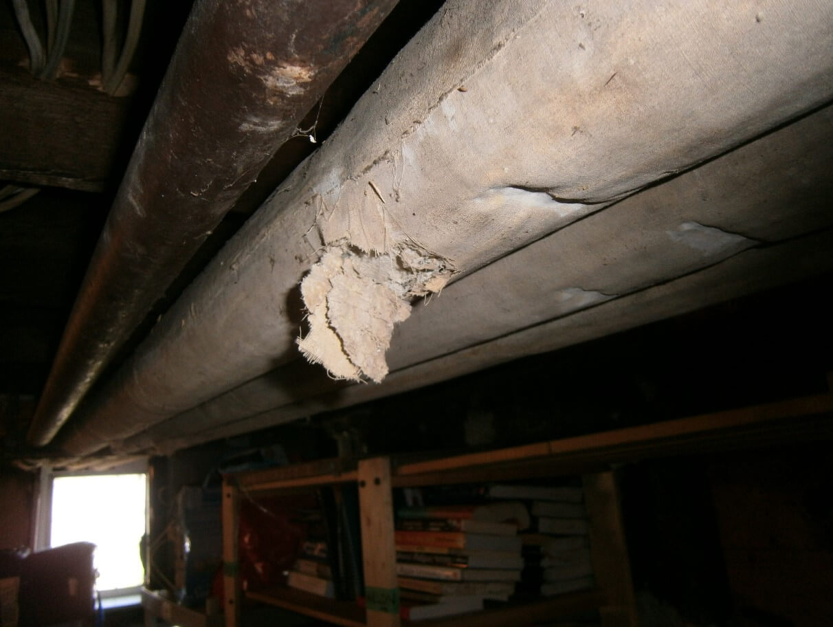 asbestos abatement services