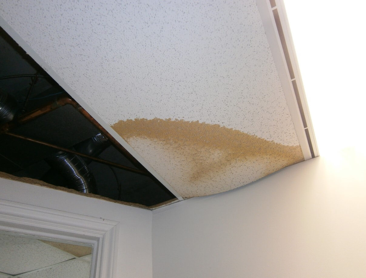 Ceiling Mold