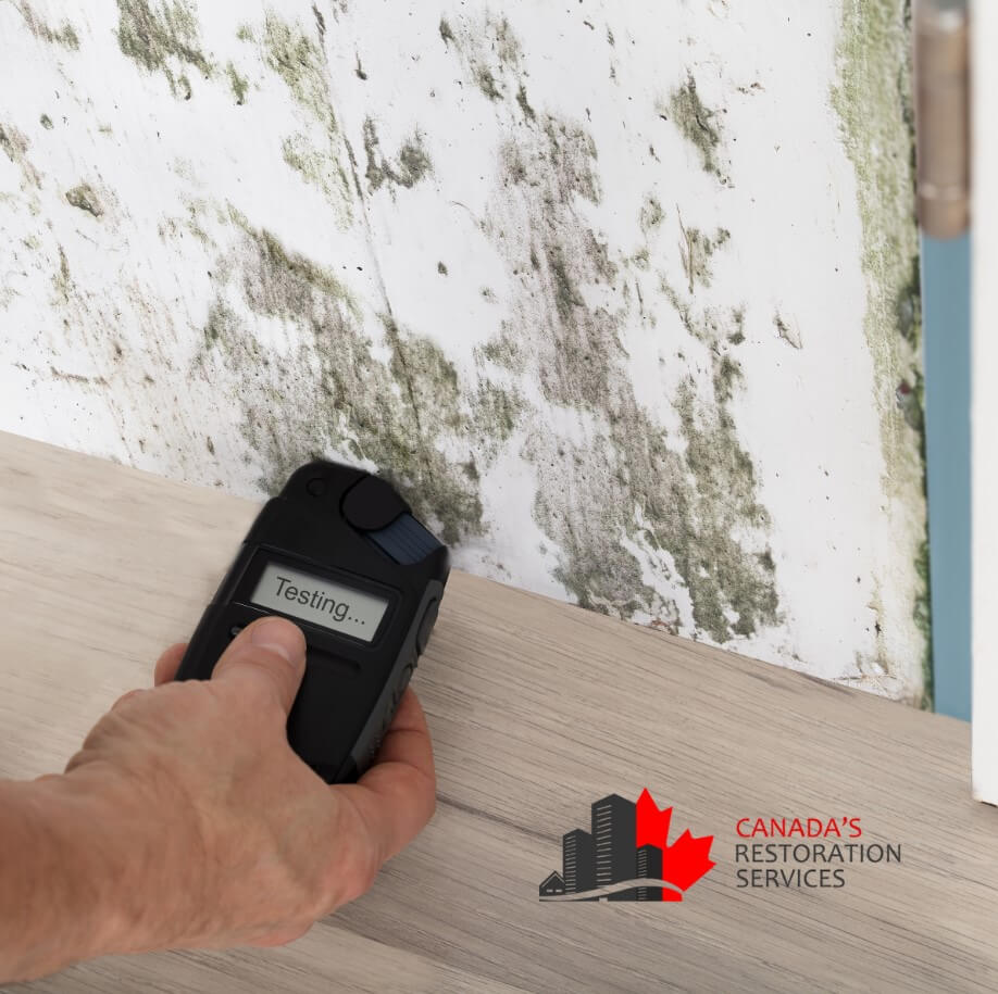mold testing Toronto
