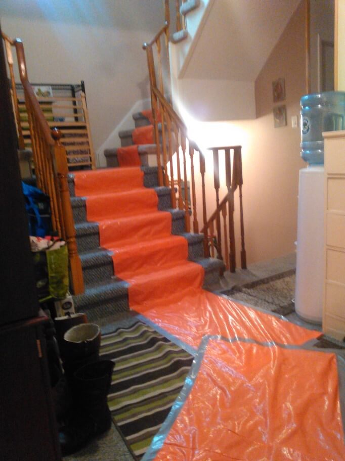 mold removal services Toronto