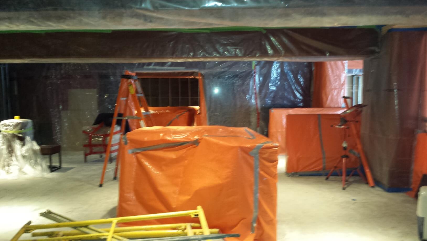 mold removal Toronto