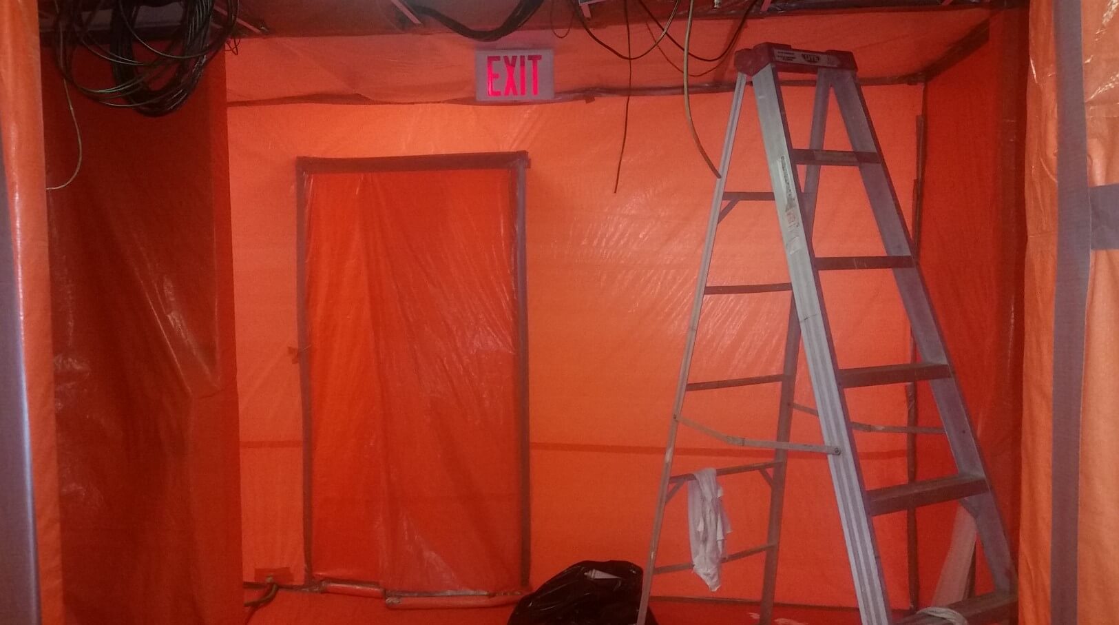 mold removal Toronto