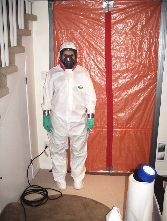 mold removal company Montreal