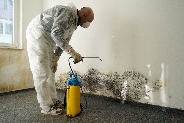 Mould Growth Remediation Services 