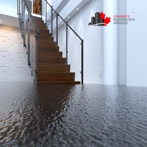 basement flood damage restoration