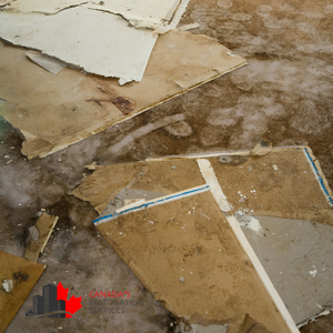 flooded basement cleanup and repair