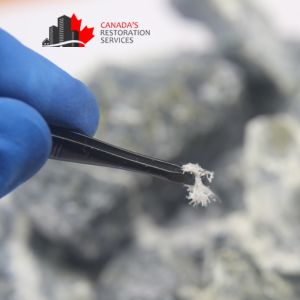 asbestos removal Toronto