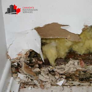 asbestos testing Edmonton