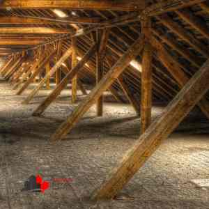 attic mold removal Toronto