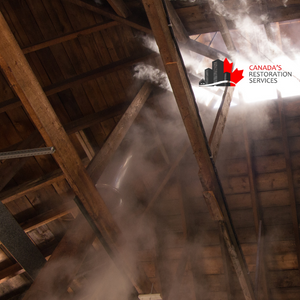 attic mold removal Toronto