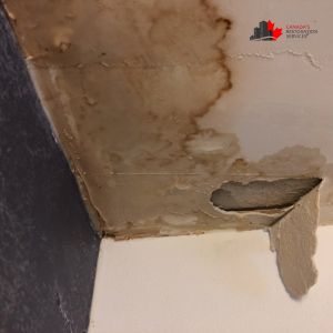 ceiling water damage and mold