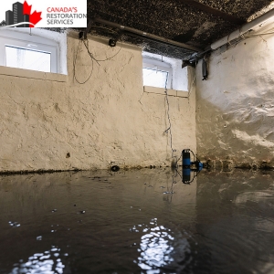 flooded basement