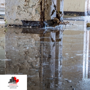 flooded basement