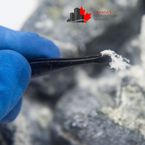 asbestos abatement Edmonton