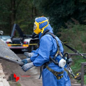 asbestos abatement