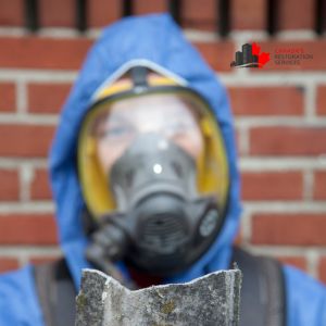 asbestos removal