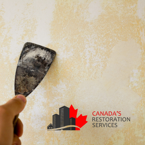 asbestos removal costs Toronto