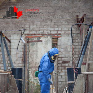 asbestos removal services